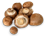 грибы мелкие